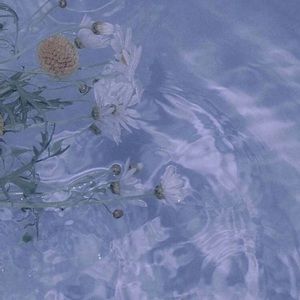 Meet your Posher, Daianna